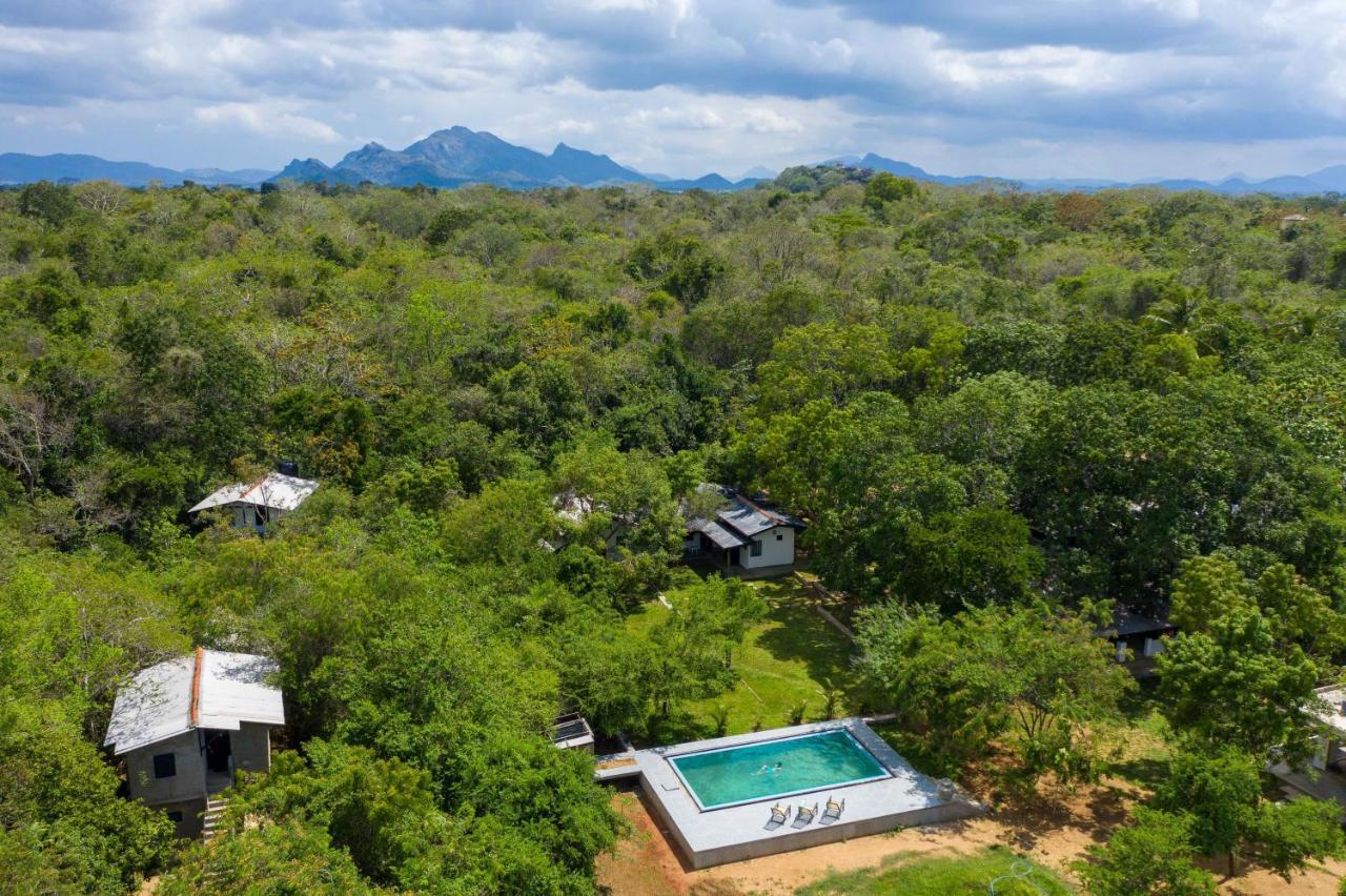 Wali Kukula Nest Hotell Sigiriya Exteriör bild